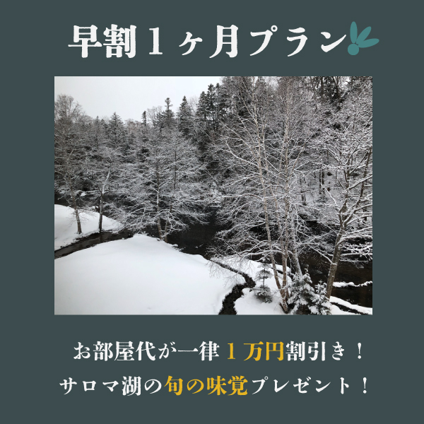 おすすめプラン